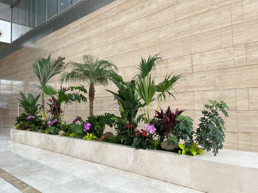 寻价格实惠的花木租摆？余姚就是答案！